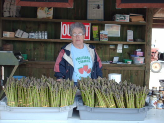 first asparagus at cormier.jpg